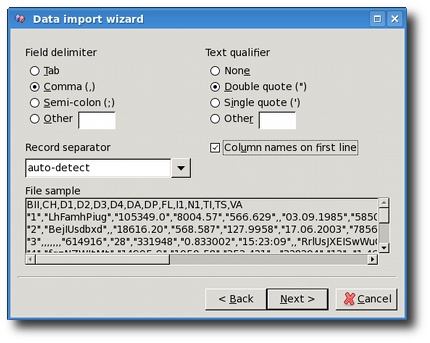 CSV settings